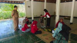 Pelaksanaan Posyandu 